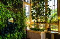 Wynns Green orangery installation